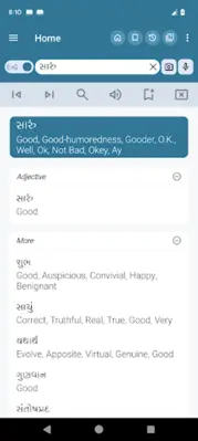 Gujarati Dictionary android App screenshot 10